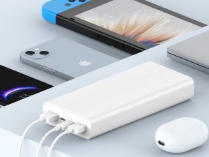 Traditional Power Banks