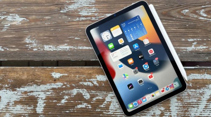 besten Schutzhüllen für das iPad mini der 6